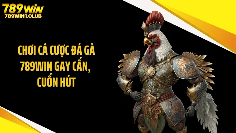 Chơi cá cược đá gà 789WIN gay cấn, cuốn hút