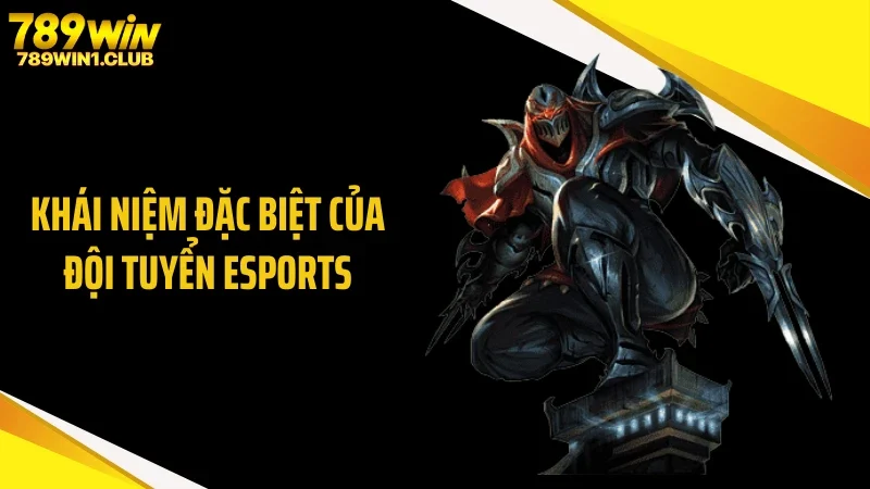 Khái niệm đặc biệt của đội tuyển eSports