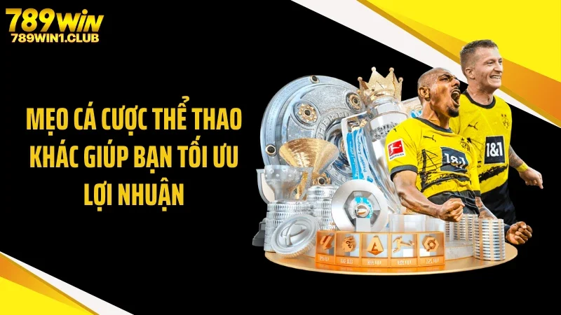 Mẹo cá cược thể thao khác giúp bạn tối ưu lợi nhuận
